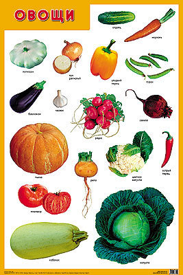Плакат "Овощи" (Мозаика-Синтез)