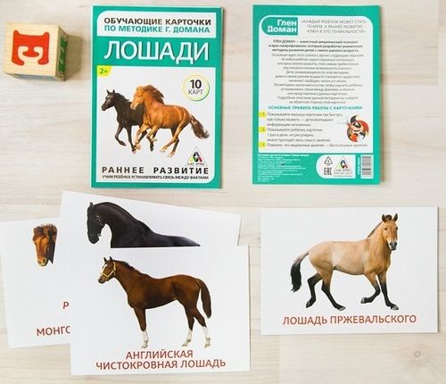 Обучающие карточки по методике Домана: Лошади