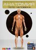 Анатомия. Тело человека. Энциклоп. в дополн. реальности