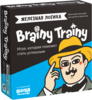 Игра-головоломка "Железная логика" Brainy Trainy
